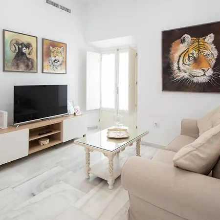 Apartamento Animalia Cádiz Exterior foto