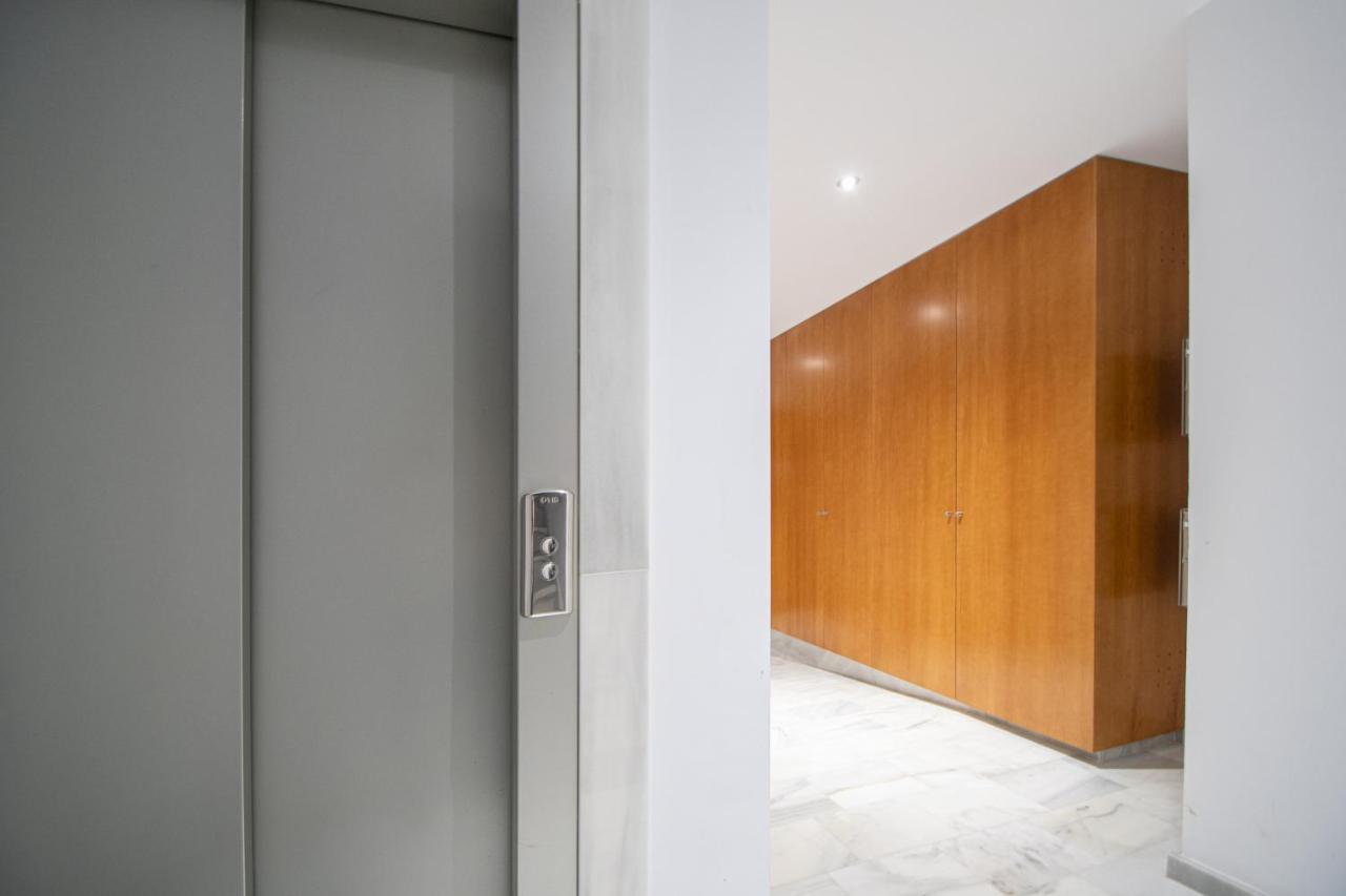 Animalia Apartment
